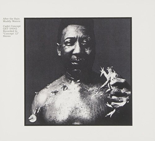 Muddy Waters/After The Rain