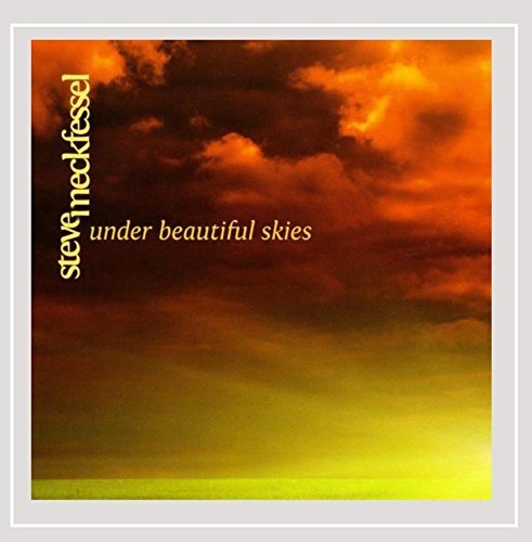 Steve Meckfessel/Under Beautiful Skies