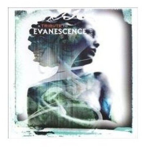 Tribute To Evanescence/Tribute To Evanescence@T/T Evanescence