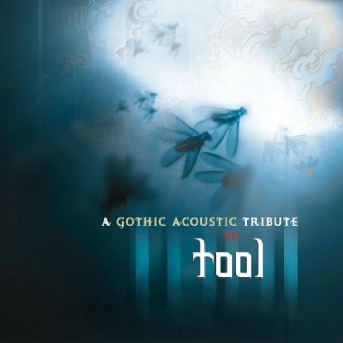 Tribute To Tool Gothic Acoustic Tribute To Too T T Tool 