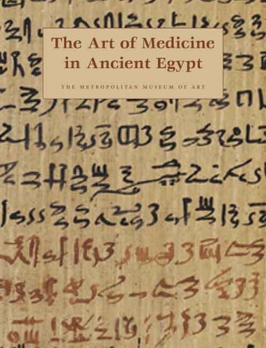 James Allen The Art Of Medicine In Ancient Egypt 