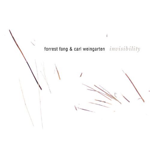 Fang/Weingarten/Invisibility