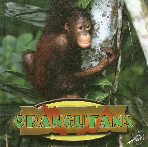 David Armentrout Orangutans 