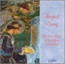 Angel's Song-New Music Of Sali/Angel's Song-New Music Of Sali@Halls/Villette/Wilby/Leighton@Goodall/Dove
