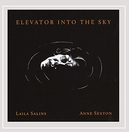 Laila Salins/Elevator Into The Sky