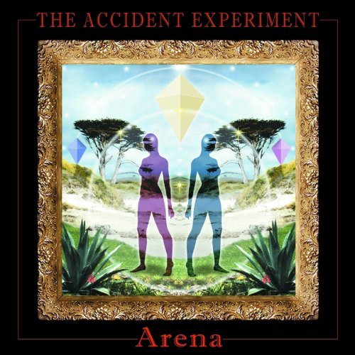 Accident Experiment/Arena@Explicit Version
