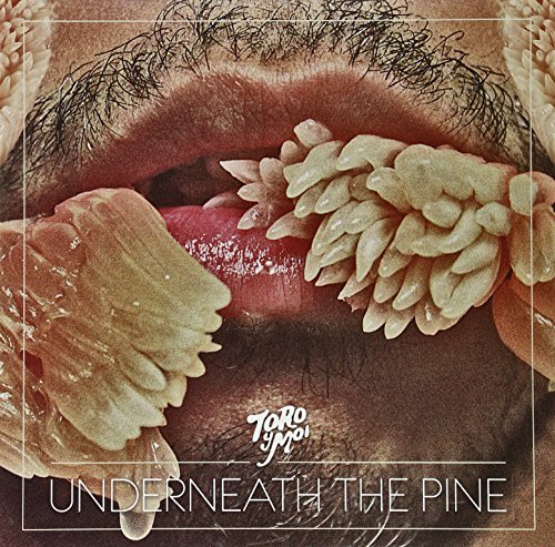 Toro Y Moi Underneath The Pine 