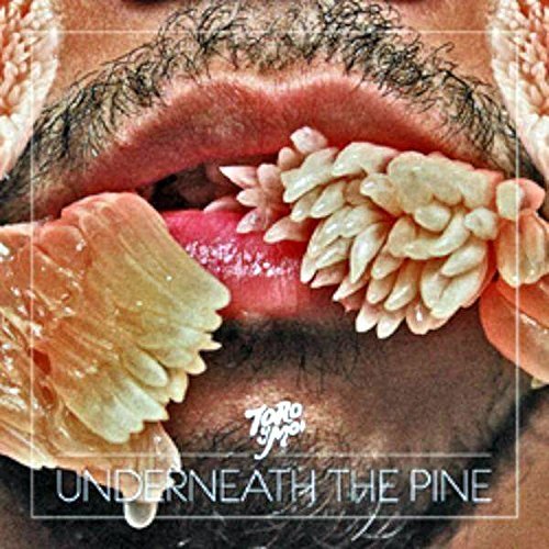 Toro Y Moi/Underneath The Pine