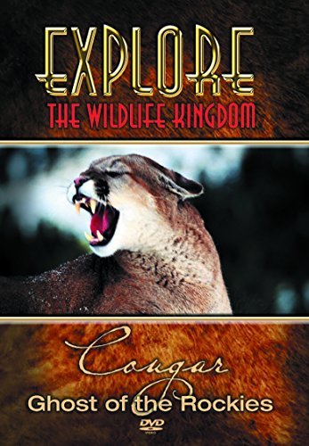 Explore The Wildlife Kingdom S/Cougar-Ghost@Clr@Nr