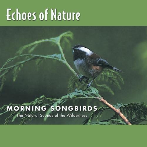 Echoes Of Nature/Morning Songbirds