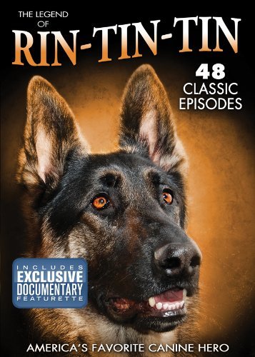 America's Canine Hero/Rin Tin Tin@Clr/Bw@Tvg/4 Dvd