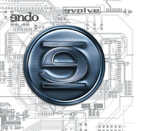 Endo/Evolve@Explicit Version