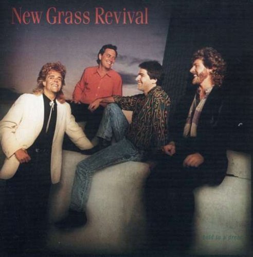 New Grass Revival/Hold To A Dream@Remastered
