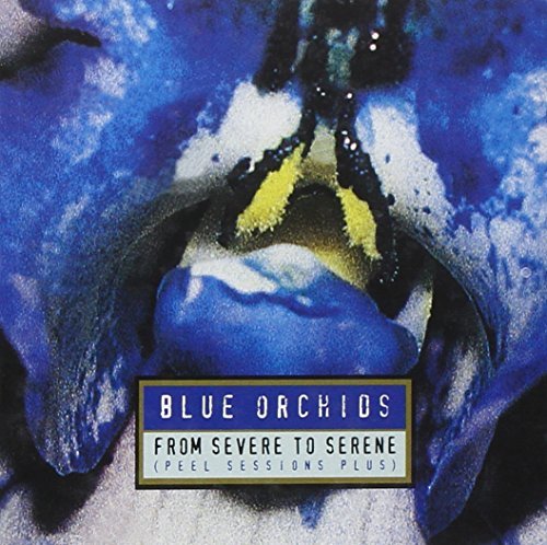 Blue Orchids/From Severe To Serene