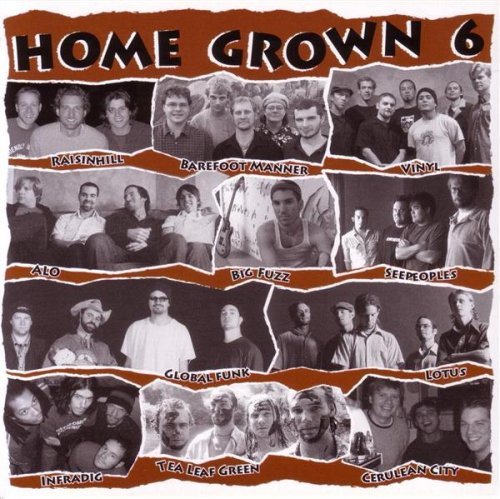 Home Grown Compilation/Vol. 6-Home Grown Compilation