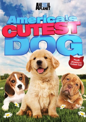 Americas Cutest Dog/Americas Cutest Dog@Nr