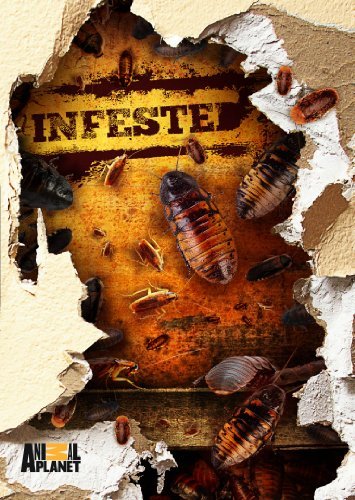 Infested/Infested@Nr/3 Dvd