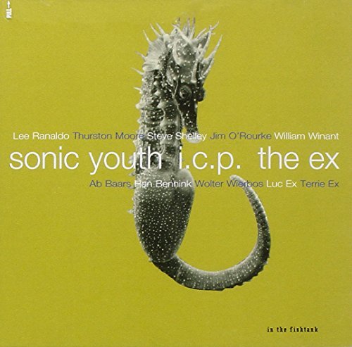 Sonic Youth I.C.P. Ex In The Fishtank 9 