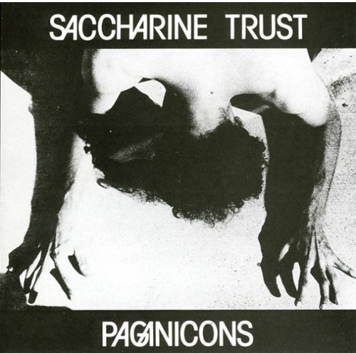 Saccharine Trust/Pagan Icons