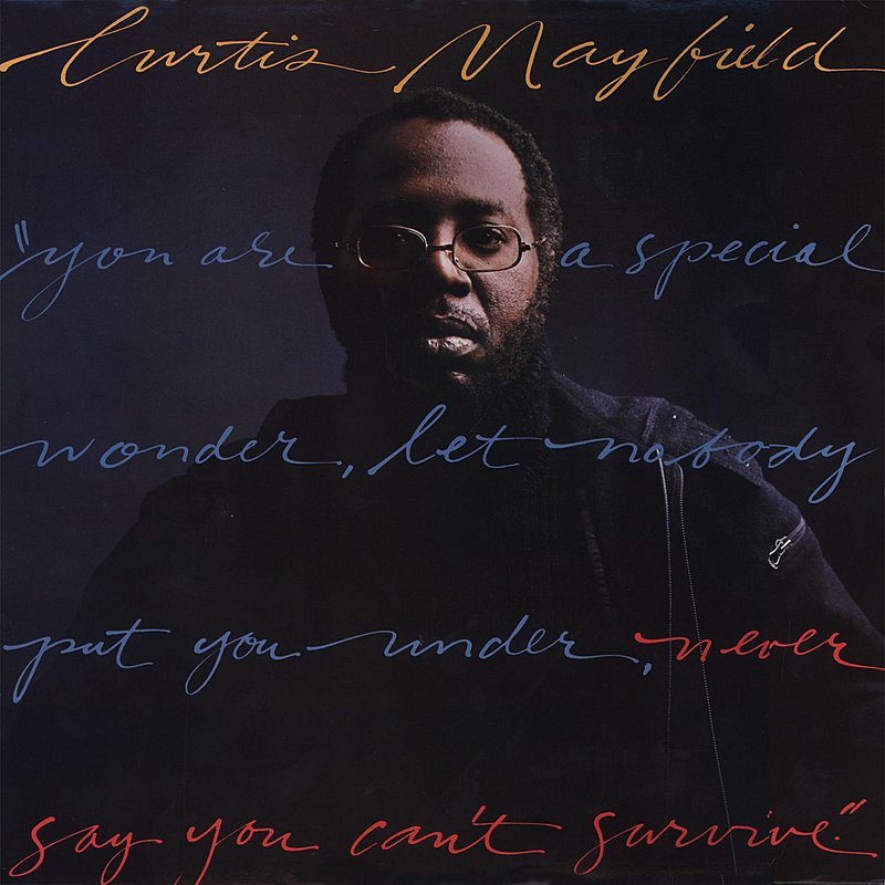 Curtis Mayfield Never Say You Can't Survive 