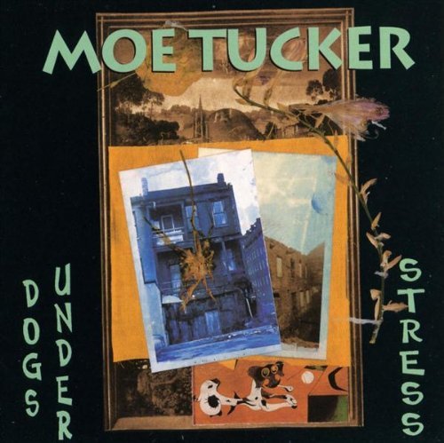 Tucker Moe Dogs Under Stress 