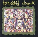 David Torn/Door X