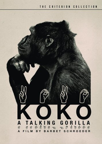 Koko - A Talking Gorilla/Koko - A Talking Gorilla@Nr/Criterion