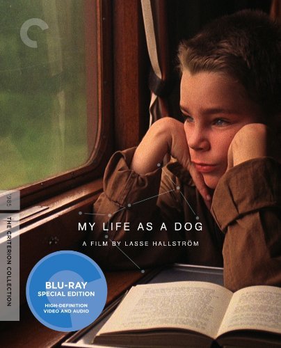 My Life As A Dog/My Life As A Dog@Pg13/Criterion