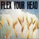Flex Your Head/Flex Your Head@Untouchables/Minor Threat/Void@Youth Brigade/Deadline