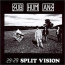 Subhumans 29 29 Split Vision 