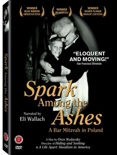 Spark Among The Ashes/Spark Among The Ashes@Nr