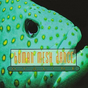 Human Mesh Dance/Hyaline