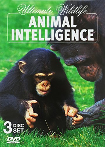 Animal Intelligence/Animal Intelligence@Nr/3 Dvd Tin
