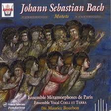 J.S. Bach/Motets