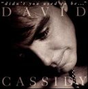 David Cassidy/Didn'T You Used To Be
