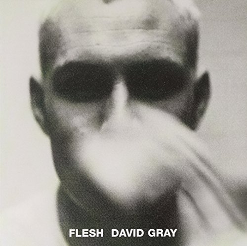 David Gray Flesh 