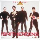 Smithereens/Best Of Smithereens@10 Best