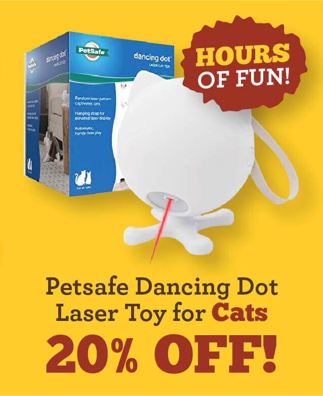 January Specials - Petsafe Dancing Dot Laser Toy for Cats for 20 percent off