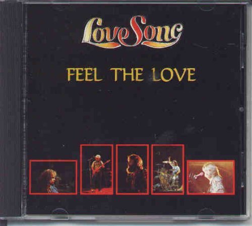 Love Song Feel The Love 