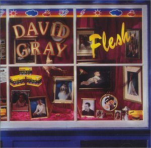 David Gray/Flesh