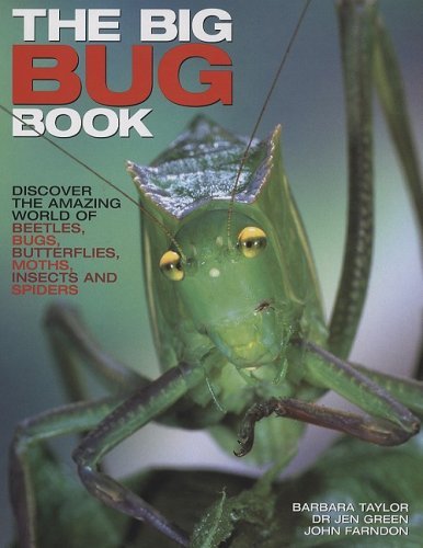 Barbara Taylor Big Bug Book The Discover The Amazing World Of Beetles Bugs Butt 