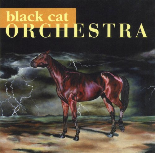 Black Cat Orchestra/Black Cat Orchestra