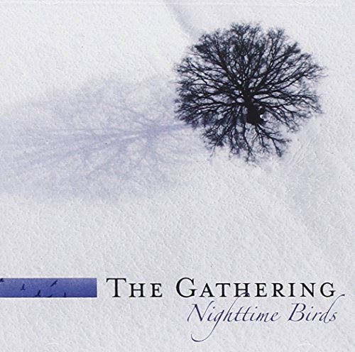 Gathering/Nighttime Birds
