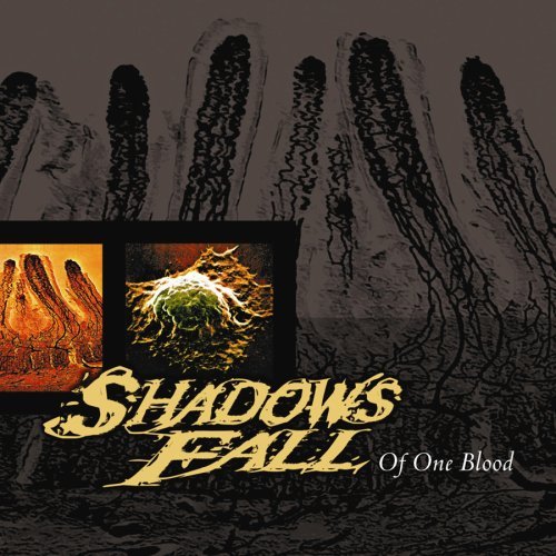 Shadows Fall/Of One Blood