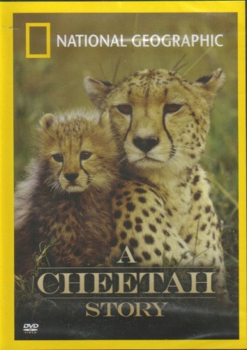 Cheetah Story/National Geographic