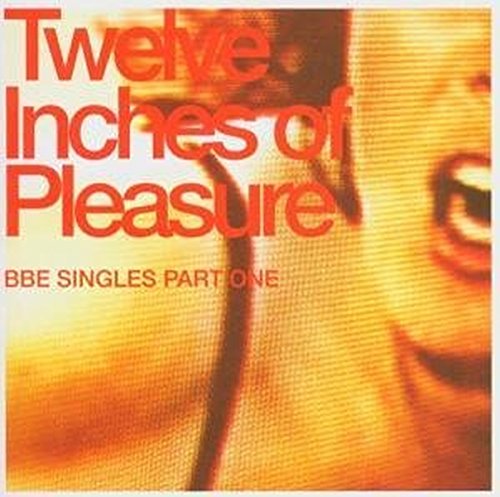 12 Inches Of Pleasure/12 Inches Of Pleasure-Pt. 1