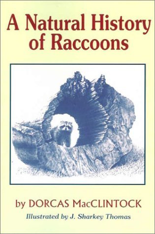 Dorcas MacClintock/A Natural History of Raccoons