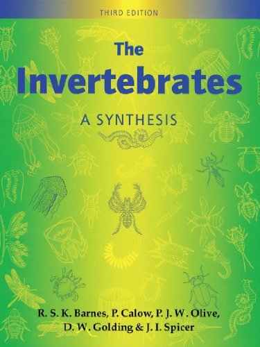 Barnes Invertebrates 3e 0003 Edition;revised 