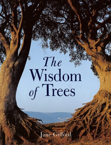 Jane Gifford Wisdom Of Trees The 