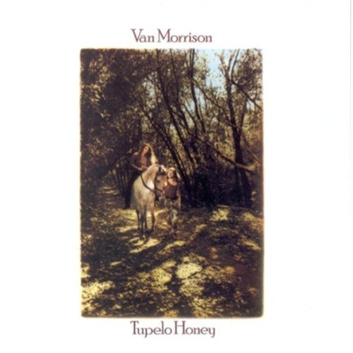 Morrison Van Tupelo Honey 